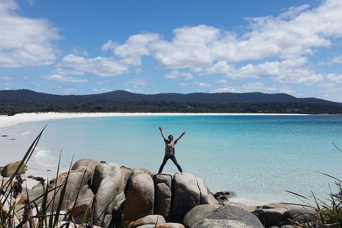 Tasmania 4 Day East Coast + Launceston - Surfers Paradise Gold Coast 1