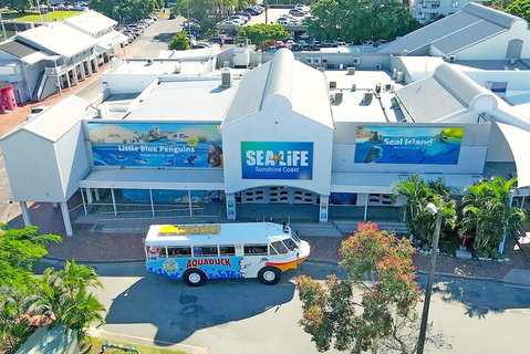 Aquaduck Sunshine Coast - Surfers Paradise Gold Coast 3