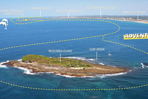 1.5HR Mudjimba Island Wildlife Safari - Surfers Paradise Gold Coast 1