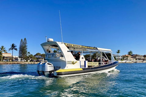1.5HR Mudjimba Island Wildlife Safari - Surfers Paradise Gold Coast 4