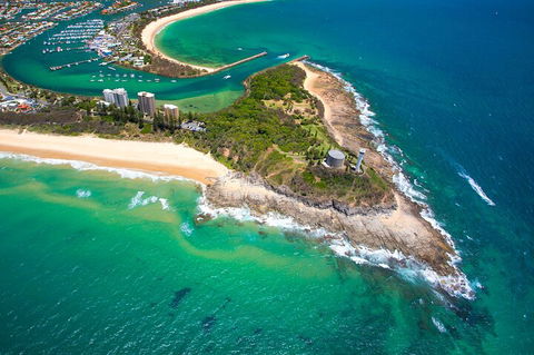 1.5HR Mudjimba Island Wildlife Safari - Surfers Paradise Gold Coast 5