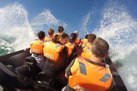 Noosa Thriller - 500hp Ocean Adventure Ride - Surfers Paradise Gold Coast 4