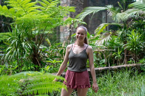Full-Day Guided Hinterland Adventure Tour In Queensland - Surfers Paradise Gold Coast 0
