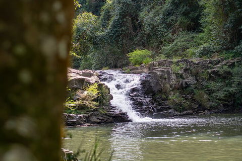 Full-Day Guided Hinterland Adventure Tour In Queensland - Surfers Paradise Gold Coast 1