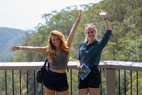 Full-Day Guided Hinterland Adventure Tour In Queensland - Surfers Paradise Gold Coast 3