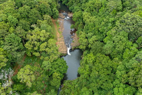 Full-Day Guided Hinterland Adventure Tour In Queensland - Surfers Paradise Gold Coast 4