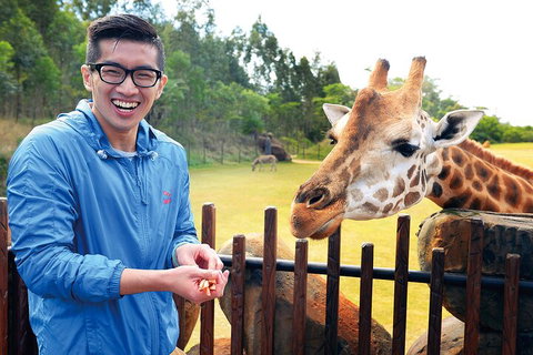 Croc Express To Australia Zoo From Gold Coast - Surfers Paradise Gold Coast 1