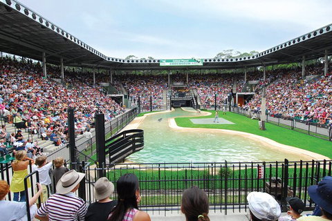 Croc Express To Australia Zoo From Gold Coast - Surfers Paradise Gold Coast 2