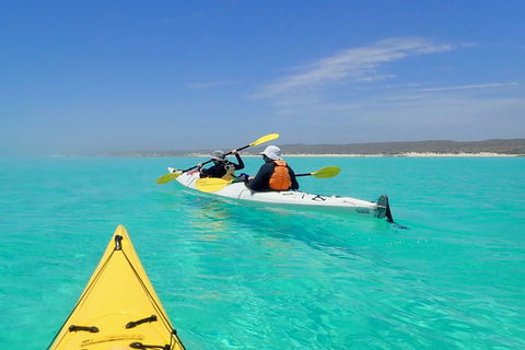 Lagoon Explorer - Ningaloo Reef Full-Day Kayaking And Snorkeling Adventure - Surfers Paradise Gold Coast 0