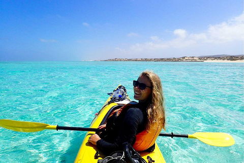 Lagoon Explorer - Ningaloo Reef Full-Day Kayaking And Snorkeling Adventure - Surfers Paradise Gold Coast 1