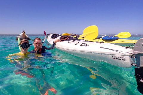 Lagoon Explorer - Ningaloo Reef Full-Day Kayaking And Snorkeling Adventure - Surfers Paradise Gold Coast 3