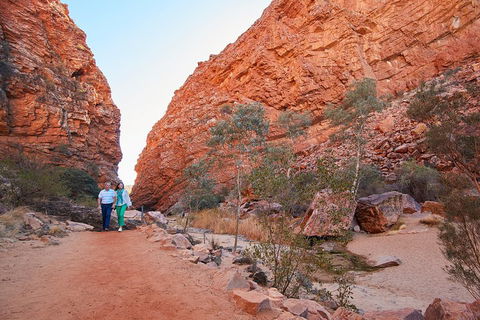 Best Of Alice Springs Full Day Tour - Surfers Paradise Gold Coast 1