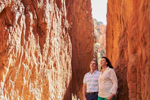 Best Of Alice Springs Full Day Tour - Surfers Paradise Gold Coast 4