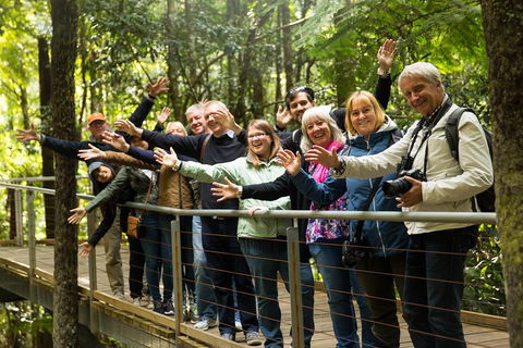 All Inclusive Blue Mountains Small-Group Day Trip From Sydney - Surfers Paradise Gold Coast 5