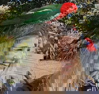 Lamington National Park O'Reilly's  Vineyard Tour - Surfers Paradise Gold Coast