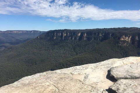 The Explorers' Discovery Tour - Gold, Wine & Wildlife - Surfers Paradise Gold Coast 1