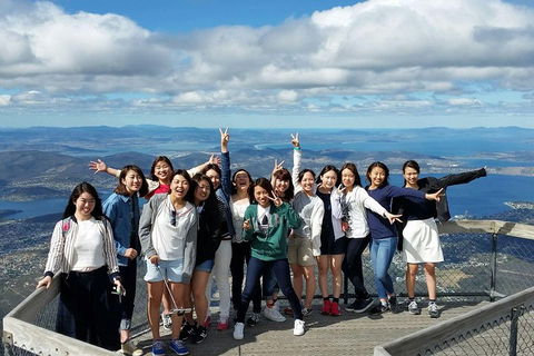 Mt Field National Park Active Day-Trip Including Bonorong And Mt Wellington - Surfers Paradise Gold Coast 2
