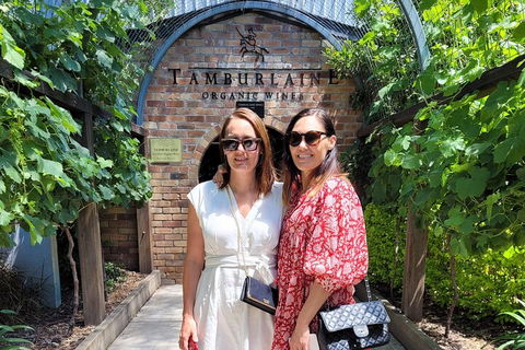 Hideaway Private Tours Hunter Valley- Indulgence Wine Tour (Full Day) - Surfers Paradise Gold Coast 5