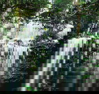 Mt Field National Park and Russell Falls from Hobart - Surfers Paradise Gold Coast