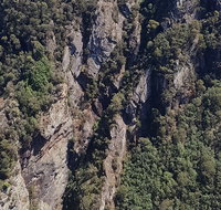 Leven Canyon Day Trip Including Wings Wildlife Park or Gunns Plains Caves - Surfers Paradise Gold Coast