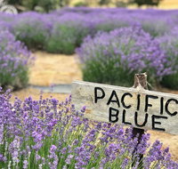 Kangaroo Island Food and Wine Trail Tour - Surfers Paradise Gold Coast