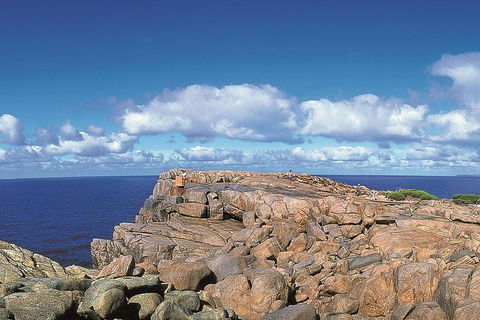 4 Day Tour: Albany, Margaret River, Valley Of The Giants TreeTop Walk From Perth - Surfers Paradise Gold Coast 0
