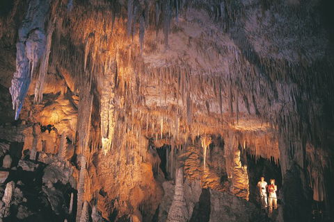 4 Day Tour: Albany, Margaret River, Valley Of The Giants TreeTop Walk From Perth - Surfers Paradise Gold Coast 1