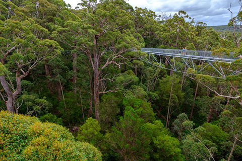 4 Day Tour: Albany, Margaret River, Valley Of The Giants TreeTop Walk From Perth - Surfers Paradise Gold Coast 4