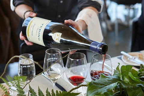 Yarra Valley Gourmet Small-Group Ecotour From Melbourne - Surfers Paradise Gold Coast 3