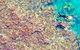 Panorama - Seaplane Tour - thumb 3