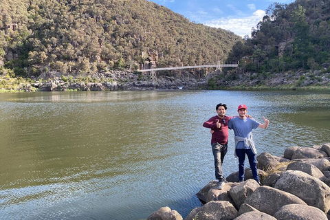 5-Day Best Of Tasmania Tour From Hobart - Surfers Paradise Gold Coast 2