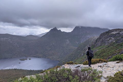 5-Day Best Of Tasmania Tour From Hobart - Surfers Paradise Gold Coast 3