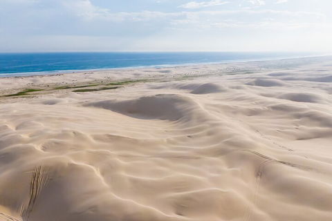 Port Stephens Bush, Beach And Sand Dune 4WD Passenger Tour - Surfers Paradise Gold Coast 2