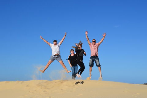 Port Stephens Bush, Beach And Sand Dune 4WD Passenger Tour - Surfers Paradise Gold Coast 3
