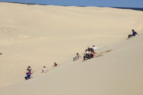 Port Stephens Bush, Beach And Sand Dune 4WD Passenger Tour - Surfers Paradise Gold Coast 4
