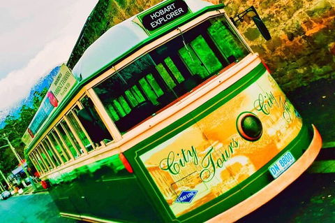 Hobart Half-Day Sightseeing Coach Tram Tour - Surfers Paradise Gold Coast 5