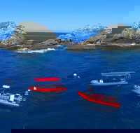 3-Hour Byron Bay Certified Scuba Diving Tour - Surfers Paradise Gold Coast