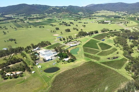 Helicopter Tour Of Hunter Valley In New South Wales With Lunch - Surfers Paradise Gold Coast 4