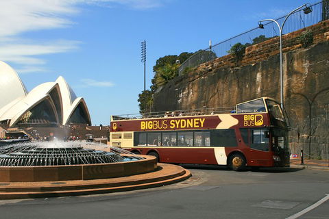 Big Bus Sydney And Bondi Hop-on Hop-off Tour - Surfers Paradise Gold Coast 3