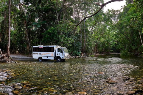 3 Day Cape Tribulation & Cooktown Tour From Cairns Or Port Douglas - Surfers Paradise Gold Coast 3