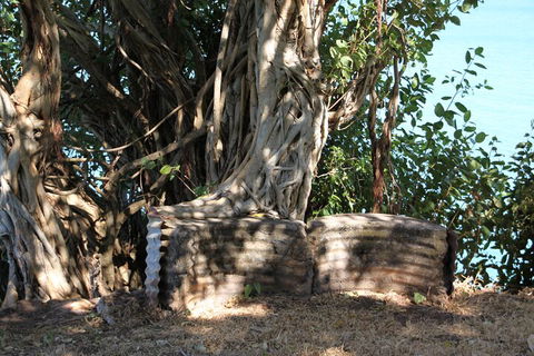 Darwin Walking Tour: World War II Reflections - Surfers Paradise Gold Coast 3