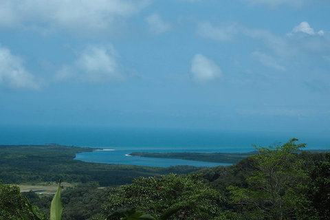 Cape Tribulation, Daintree Rainforest And Wildlife Tour - Surfers Paradise Gold Coast 1