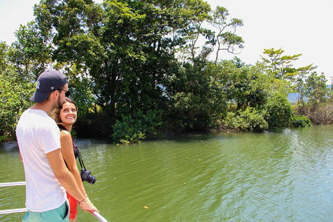 Cape Tribulation, Daintree Rainforest And Wildlife Tour - Surfers Paradise Gold Coast 2