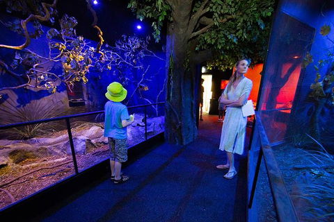 Wildlife Habitat Port Douglas - Surfers Paradise Gold Coast 4