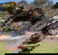 One Day Kangaroo Island Sip  See tour with return ferry transfers from Adelaide - Surfers Paradise Gold Coast