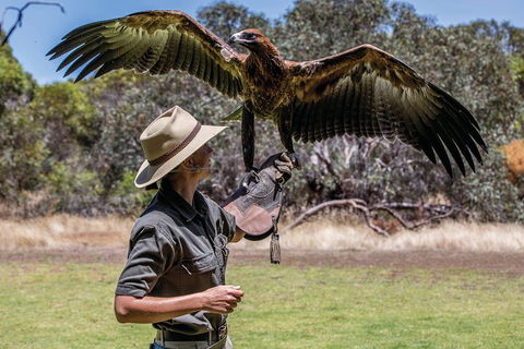 One Day Kangaroo Island Sip & See Tour With Return Ferry Transfers From Adelaide - Surfers Paradise Gold Coast 0