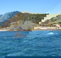Kayaking with Dolphins in Byron Bay Guided Tour - Surfers Paradise Gold Coast