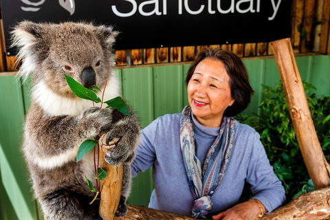 Moonlit Sanctuary Wildlife Conservation Park Daytime General Entry Ticket - Surfers Paradise Gold Coast 0
