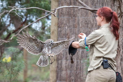 Moonlit Sanctuary Wildlife Conservation Park Daytime General Entry Ticket - Surfers Paradise Gold Coast 1