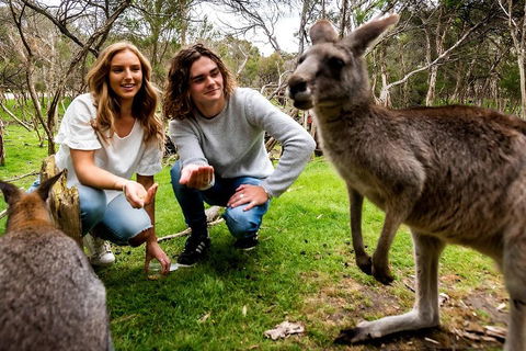Moonlit Sanctuary Wildlife Conservation Park Daytime General Entry Ticket - Surfers Paradise Gold Coast 2